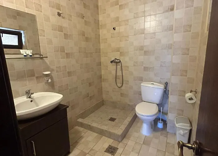 Casa Andrei Maria ゲストハウス エフォリエ・ノルド